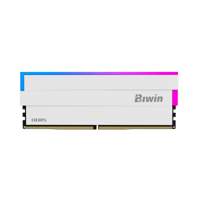 Biwin DW100 módulo de memoria 32 GB 2 x 16 GB DDR5